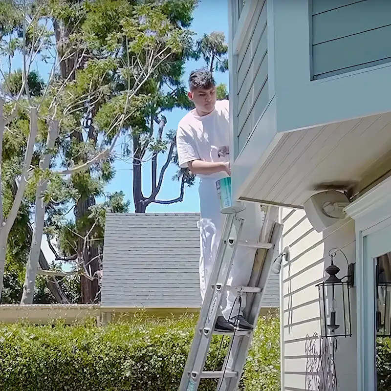 Houses Painting